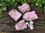 Natural Salrose Cobaltion Dolomite Specimens x 4 From Kakanda, Congo - Toprock Gemstones and Minerals 
