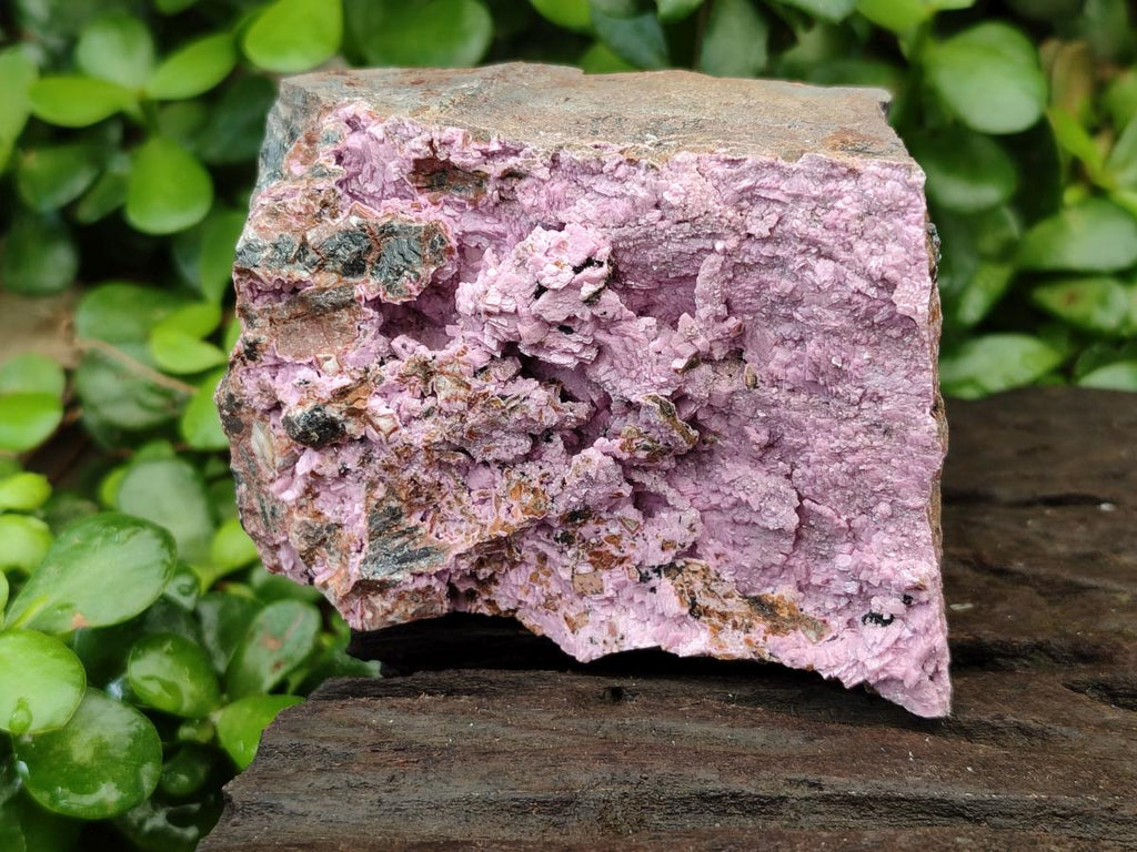 Natural Salrose Cobaltion Dolomite Specimens x 4 From Kakanda, Congo - Toprock Gemstones and Minerals 