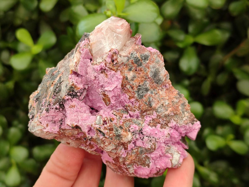 Natural Salrose Cobaltion Dolomite Specimens x 4 From Kakanda, Congo - Toprock Gemstones and Minerals 