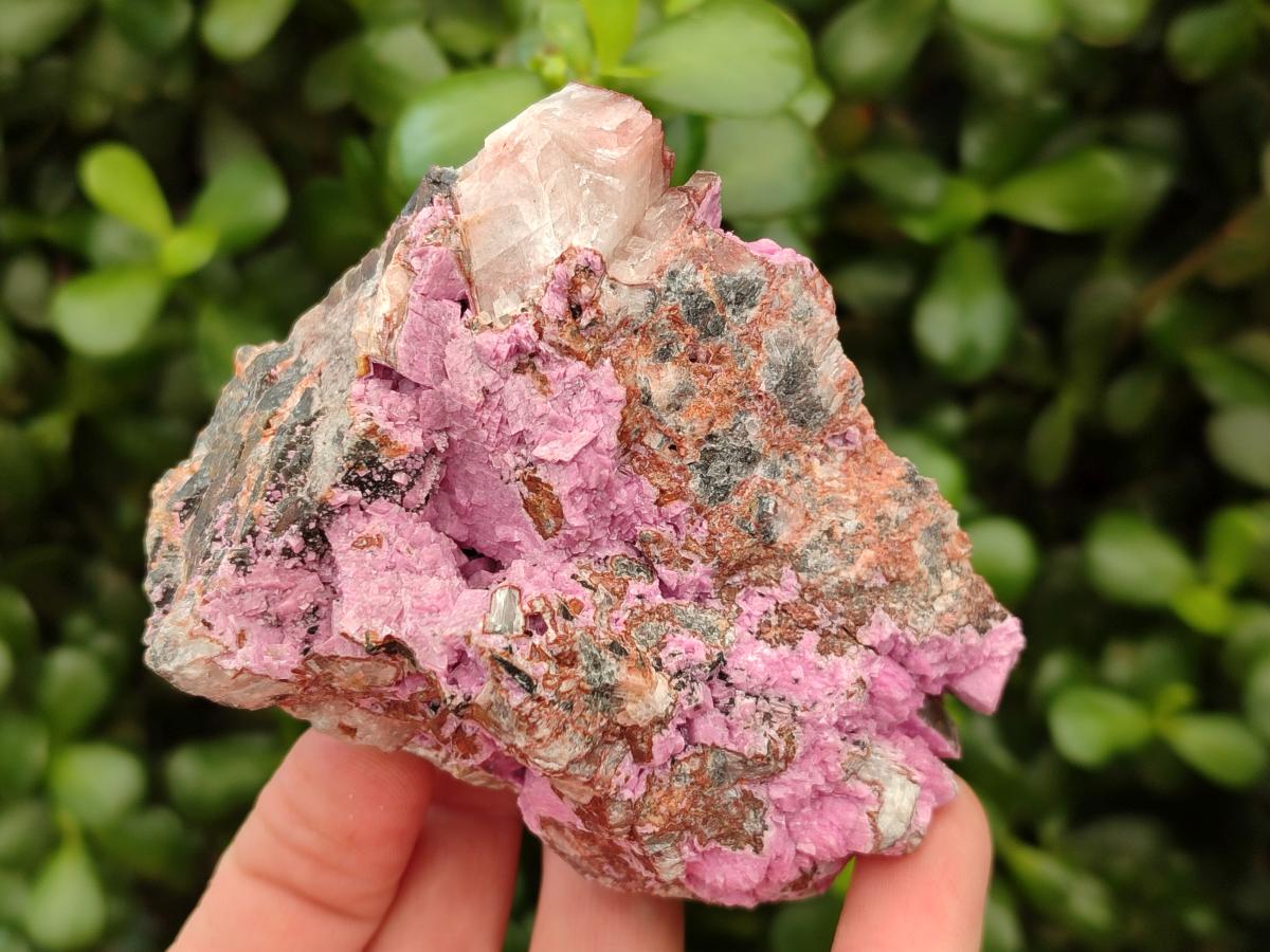 Natural Salrose Cobaltion Dolomite Specimens x 4 From Kakanda, Congo - Toprock Gemstones and Minerals 