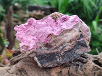 Natural Salrose Cobaltion Dolomite Specimens x 4 From Kakanda, Congo