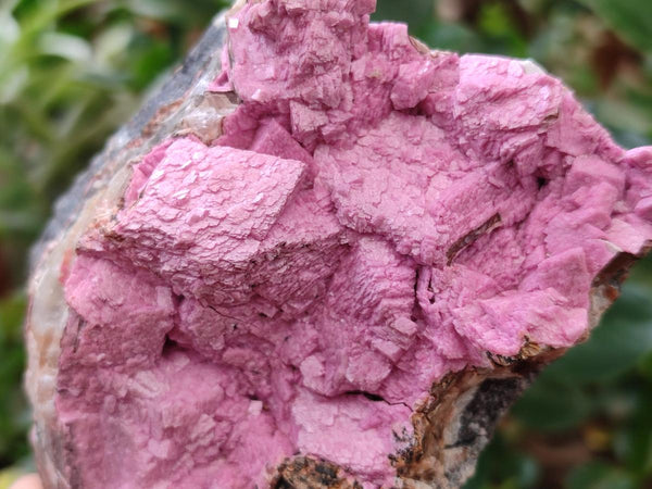 Natural Salrose Cobaltion Dolomite Specimens x 4 From Kakanda, Congo