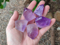Polished Window Amethyst Crystals x 12 From Akansobe, Madagascar