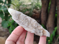 Natural Drusy Quartz Coated Spearhead Calcite Specimens x 12 From Albert's Mountain, Lesotho