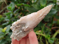 Natural Drusy Quartz Coated Spearhead Calcite Specimens x 12 From Albert's Mountain, Lesotho