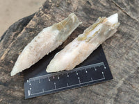 Natural Drusy Quartz Coated Spearhead Calcite Specimens x 12 From Albert's Mountain, Lesotho
