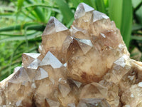 Natural Clear Smokey Citrine Quartz Cluster x 1 From Luena, Congo