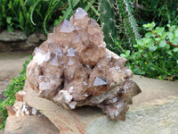 Natural Clear Smokey Citrine Quartz Cluster x 1 From Luena, Congo