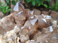 Natural Clear Smokey Citrine Quartz Cluster x 1 From Luena, Congo