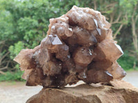 Natural Clear Smokey Citrine Quartz Cluster x 1 From Luena, Congo