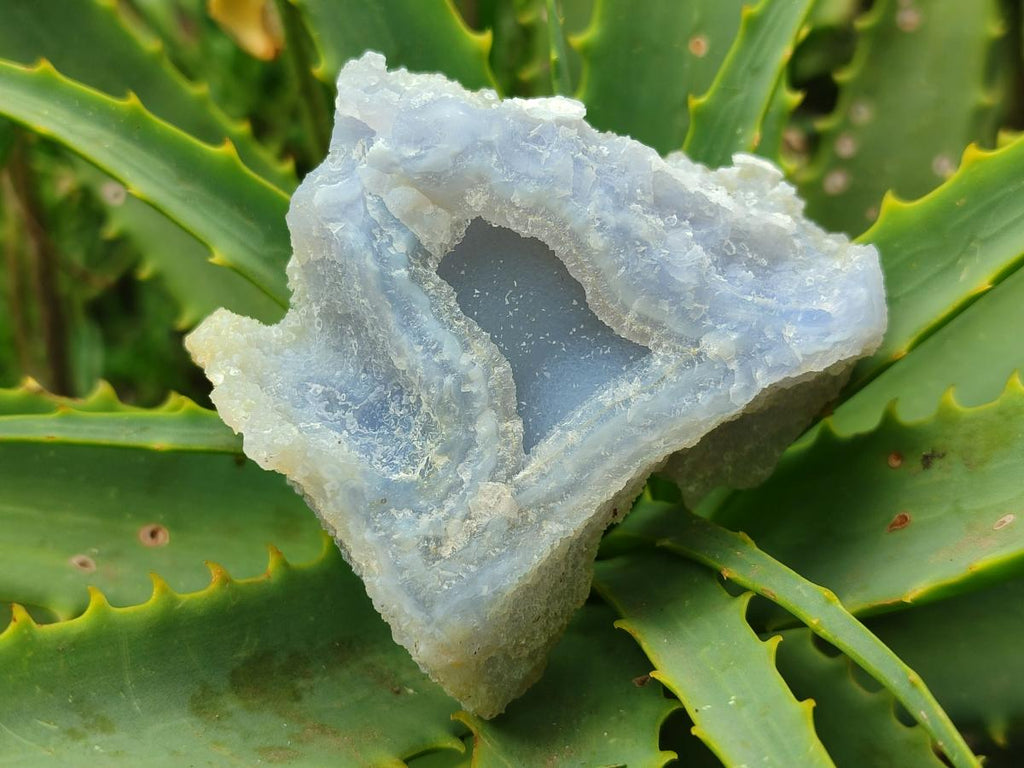 Natural Etched Blue Chalcedony Geodes x 6 From Nsanje, Malawi - Toprock Gemstones and Minerals 
