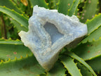 Natural Etched Blue Chalcedony Geodes x 6 From Nsanje, Malawi - Toprock Gemstones and Minerals 