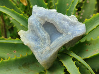 Natural Etched Blue Chalcedony Geodes x 6 From Nsanje, Malawi