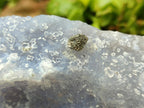 Natural Etched Blue Chalcedony Geodes x 6 From Nsanje, Malawi - Toprock Gemstones and Minerals 