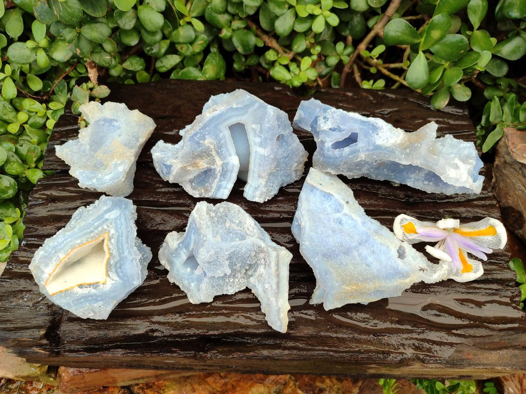 Natural Etched Blue Chalcedony Geodes x 6 From Nsanje, Malawi - Toprock Gemstones and Minerals 