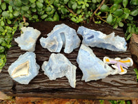 Natural Etched Blue Chalcedony Geodes x 6 From Nsanje, Malawi