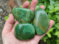 Polished Verdite Palm Stones x 12 From Zimbabwe