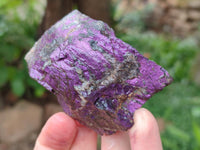 Natural Metallic Purpurite Specimens x 12 From Erongo, Namibia
