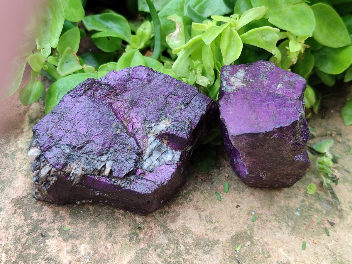 Natural Metallic Purpurite Specimens x 12 From Erongo, Namibia