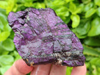 Natural Metallic Purpurite Specimens x 12 From Erongo, Namibia