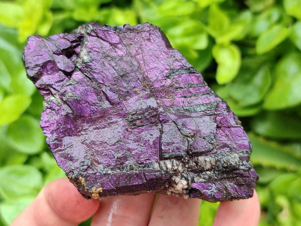 Natural Metallic Purpurite Specimens x 12 From Erongo, Namibia