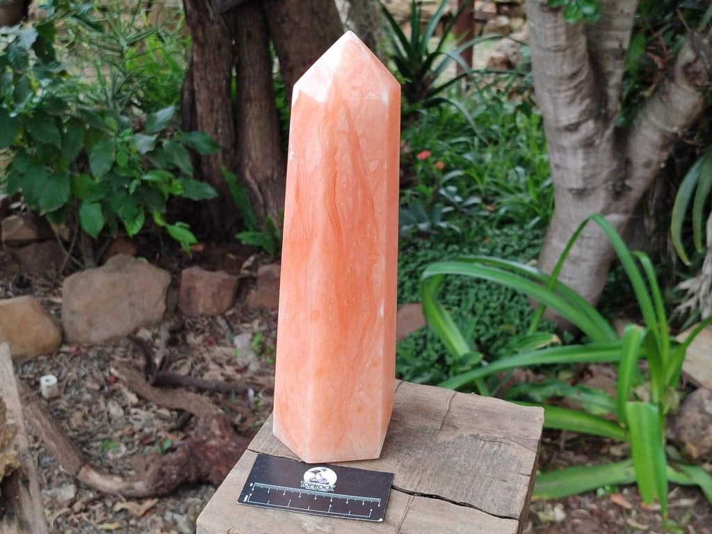 Polished Orange Twist Calcite Point x 1 From Maevantanana, Madagascar