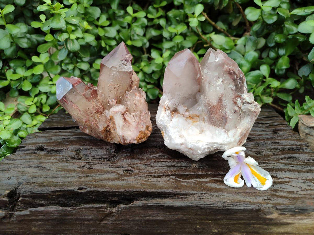 Natural Red Hematoid Quartz Clusters x 2 From Karoi, Zimbabwe