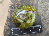 Polished Green Opal Free Forms x 12 From Betroka, Madagascar
