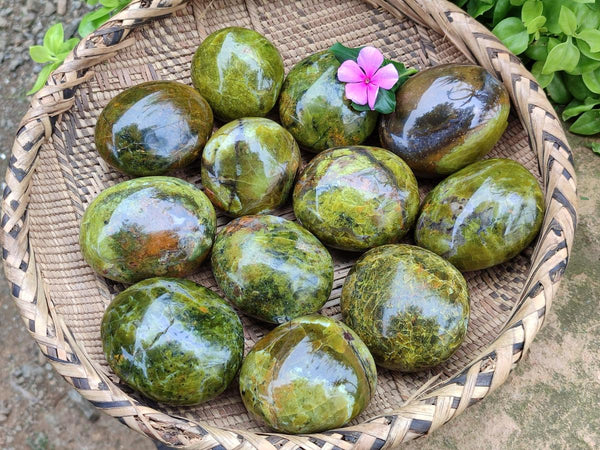 Polished Green Opal Free Forms x 12 From Betroka, Madagascar