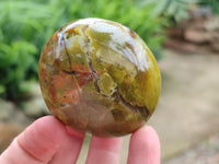 Polished Green Opal Free Forms x 12 From Betroka, Madagascar