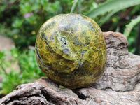 Polished Green Opal Free Forms x 12 From Betroka, Madagascar