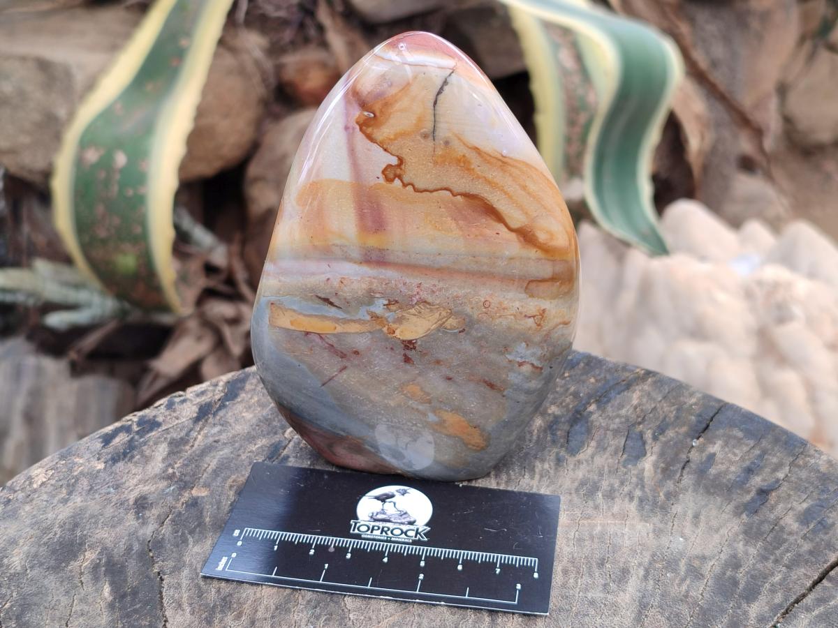Polished Polychrome Jasper Standing Free Forms x 3 From NW Coast, Madagascar - Toprock Gemstones and Minerals 