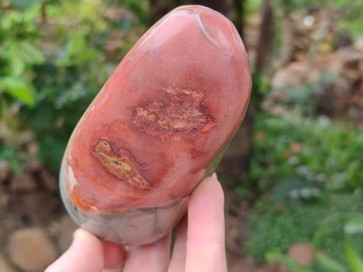 Polished Polychrome Jasper Standing Free Forms x 3 From NW Coast, Madagascar - Toprock Gemstones and Minerals 