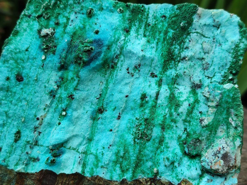 Natural Drusy Coated Chrysocolla On Dolomite Specimens x 2 From Likasi, Congo - Toprock Gemstones and Minerals 