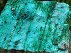 Natural Drusy Coated Chrysocolla On Dolomite Specimens x 2 From Likasi, Congo - Toprock Gemstones and Minerals 