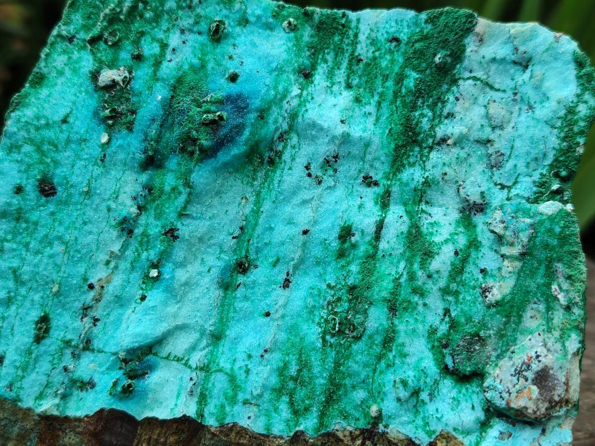 Natural Drusy Coated Chrysocolla On Dolomite Specimens x 2 From Likasi, Congo - Toprock Gemstones and Minerals 