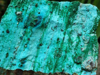Natural Drusy Coated Chrysocolla On Dolomite Specimens x 2 From Likasi, Congo