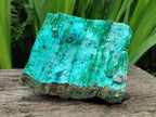 Natural Drusy Coated Chrysocolla On Dolomite Specimens x 2 From Likasi, Congo - Toprock Gemstones and Minerals 