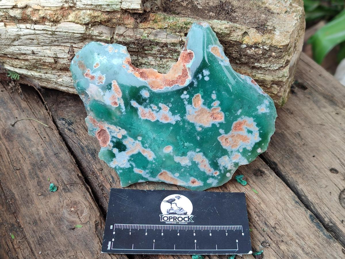 Polished On One Side Mtorolite Plates x 3 From Mutorashanga, Zimbabwe - Toprock Gemstones and Minerals 