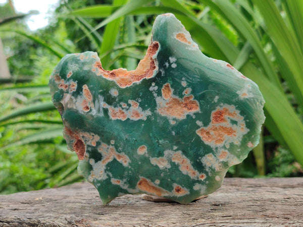 Polished On One Side Mtorolite Plates x 3 From Mutorashanga, Zimbabwe