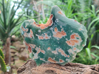 Polished On One Side Mtorolite Plates x 3 From Mutorashanga, Zimbabwe