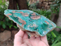 Polished On One Side Mtorolite Plates x 3 From Mutorashanga, Zimbabwe