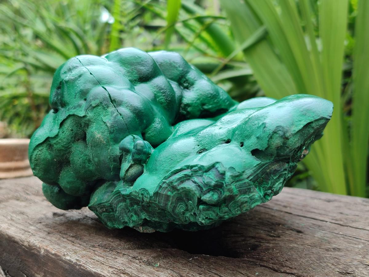 Polished Large Botryoidal Silky Malachite Specimen x 1 From Congo