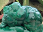 Polished Large Botryoidal Silky Malachite Specimen x 1 From Congo