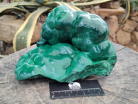Polished Large Botryoidal Silky Malachite Specimen x 1 From Congo