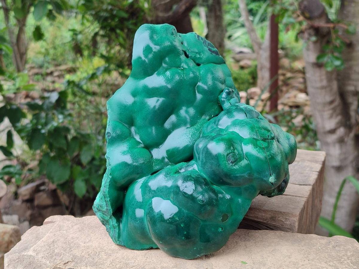 Polished Large Botryoidal Silky Malachite Specimen x 1 From Congo