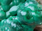 Polished Large Botryoidal Silky Malachite Specimen x 1 From Congo