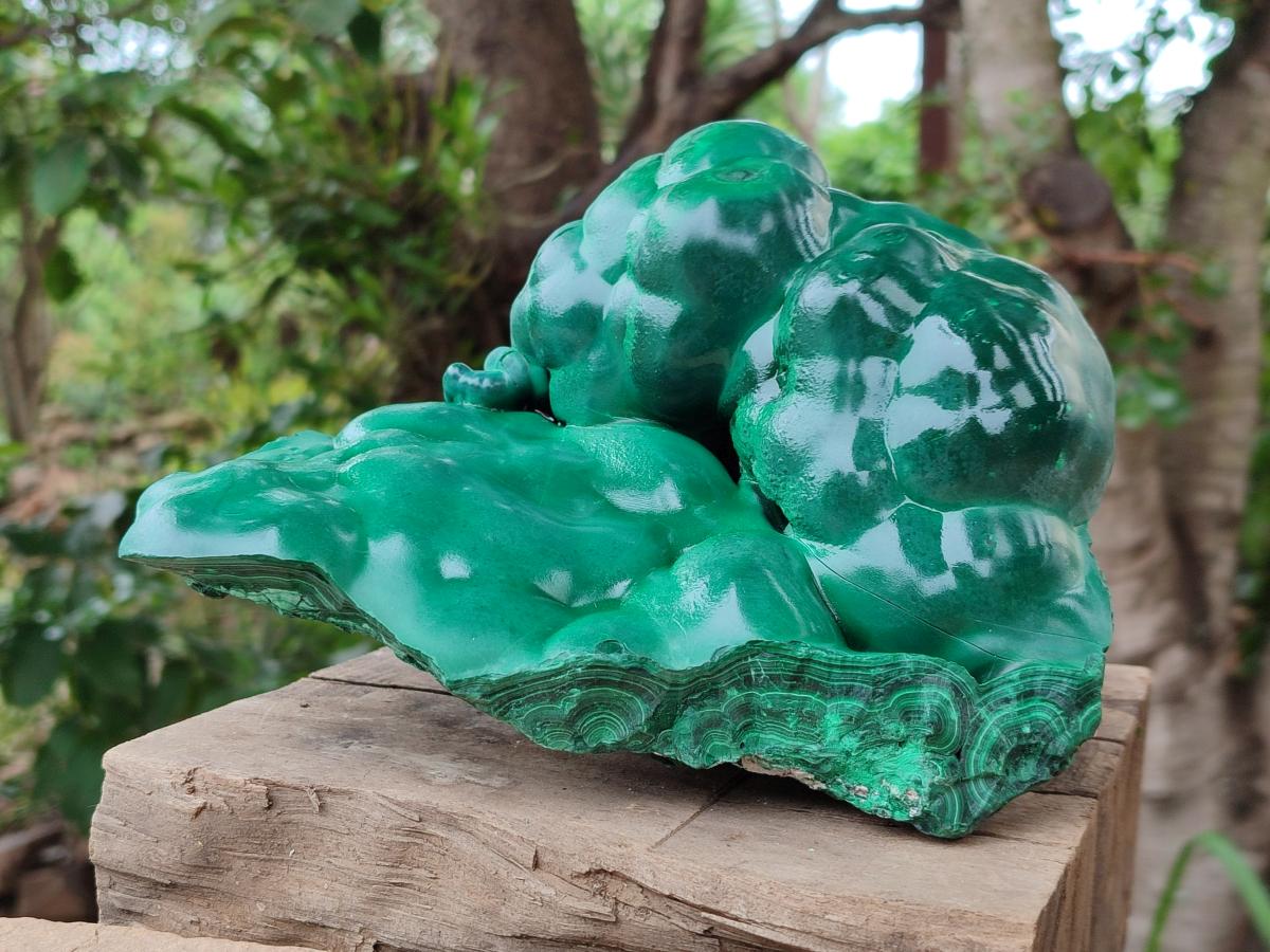 Polished Large Botryoidal Silky Malachite Specimen x 1 From Congo