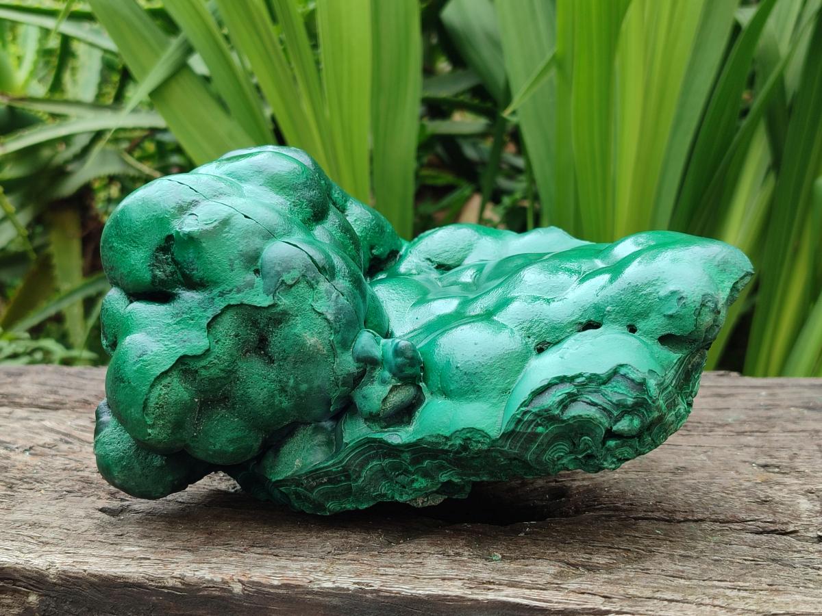 Polished Large Botryoidal Silky Malachite Specimen x 1 From Congo