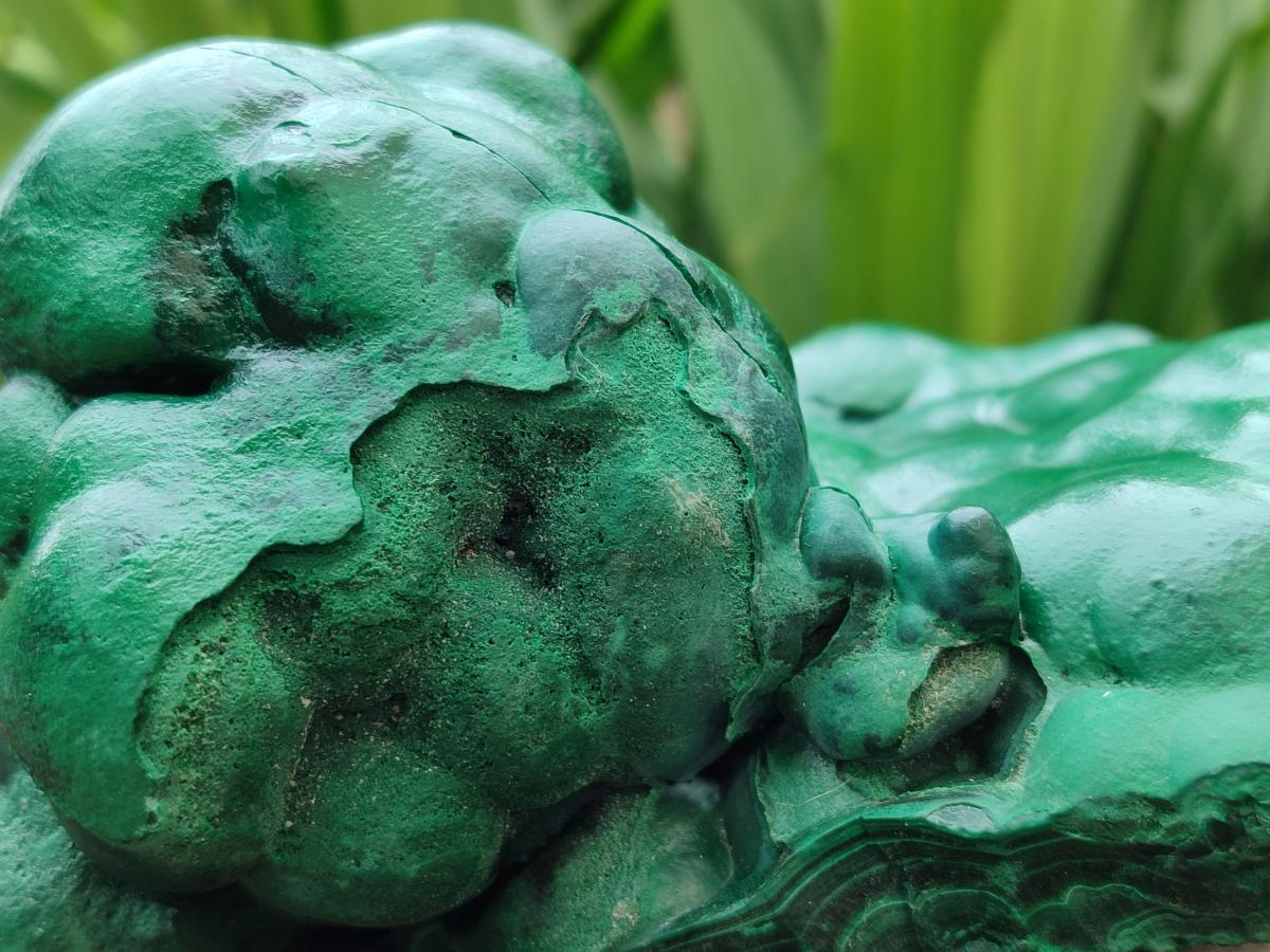 Polished Large Botryoidal Silky Malachite Specimen x 1 From Congo